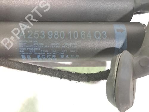 Tailgate lift support MERCEDES-BENZ GLC Coupe (C253) 220 d 4-matic (253.303, 253.305) | BP29052142C138 