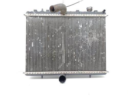 Køler FIAT SCUDO Van (270_, 272_) 2.0 D Multijet (128 hp) 25456307