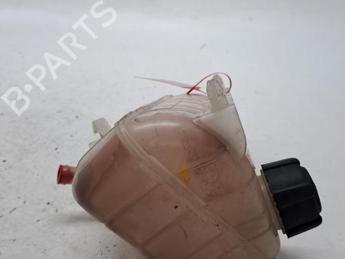 Expansion tank RENAULT KANGOO / GRAND KANGOO II (KW0/1_) 1.5 dCi 90 (KW18) | BP27462249C120 