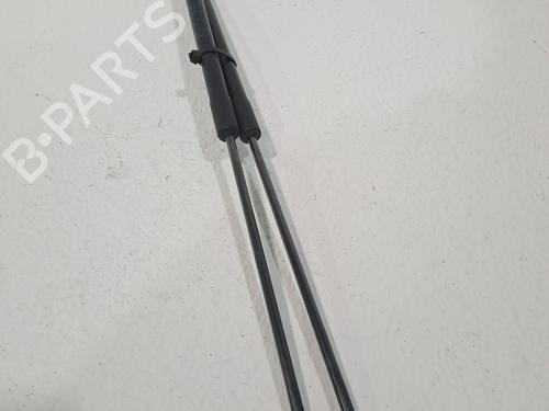 Tailgate lift support FORD FOCUS III 1.6 Ti | BP24445179C138 