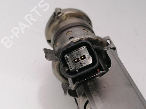 Injector CITROËN C4 CACTUS 1.5 BlueHDi 100 | BP24171223M100 
