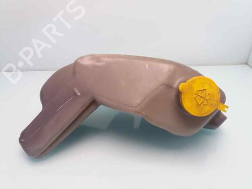 Used Windscreen washer tank NISSAN CABSTAR (F22, H40) 2.7 TD (F22) (90 hp) 25465443