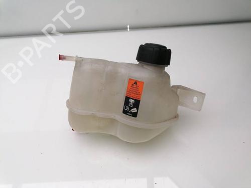 Used Expansion tank NISSAN QASHQAI II (J11, J11_) 1.3 DIG-T (160 hp) 25458013