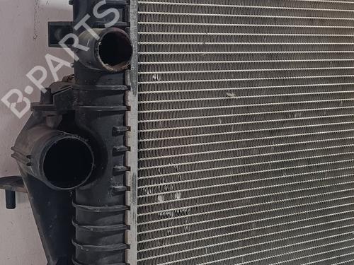 Water radiator LAND ROVER DEFENDER Station Wagon (L316) 2.5 TDI 4x4 (L316) | BP25455134M31 
