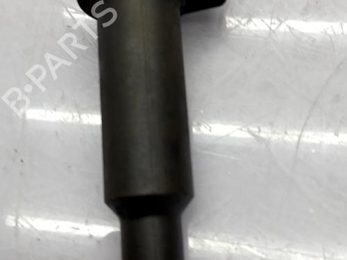 ignition-coil-citroen-c3-origin-iii-sx-2024-31916153 main image