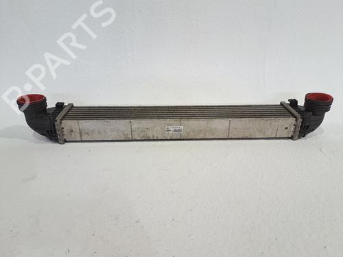 Used Intercooler MERCEDES-BENZ A-CLASS (W169) A 180 CDI (169.007, 169.307) (109 hp) 24239728