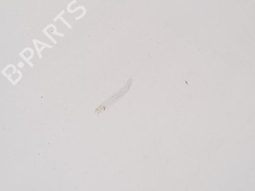 Hood RENAULT KANGOO / GRAND KANGOO II (KW0/1_) 1.5 dCi 90 (KW18) | BP27557169C1