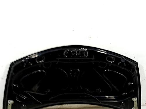 Capot Capot RENAULT CLIO III (BR0/1, CR0/1) 1.2 Ethanol (CR1U, BR1U) (75 hp) 33762293 33762293