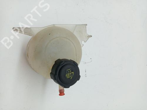 Used Expansion tank RENAULT CLIO II (BB_, CB_) 1.2 16V (BB05, BB0W, BB11, BB27, BB2T, BB2U, BB2V, CB05,... (75 hp) 25783411