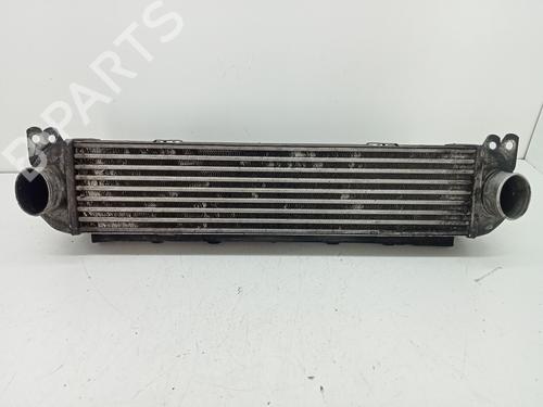 Used Intercooler LAND ROVER RANGE ROVER SPORT I (L320) 2.7 D 4x4 (190 hp) 29179642