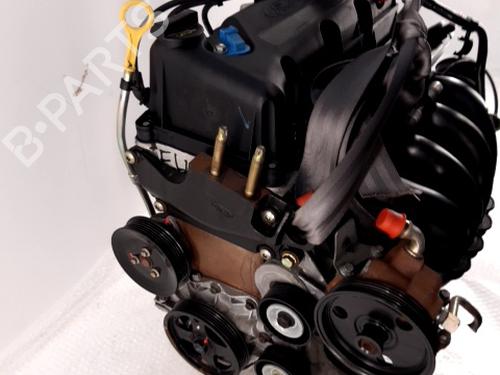 Engine FORD STREET KA (RL2) 1.6 | BP31035635M1 