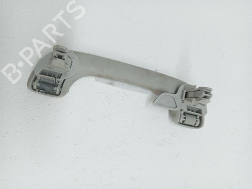 Håndtag i tag NISSAN QASHQAI / QASHQAI +2 I (J10, NJ10, JJ10E) 2.0 | BP27557083I35 