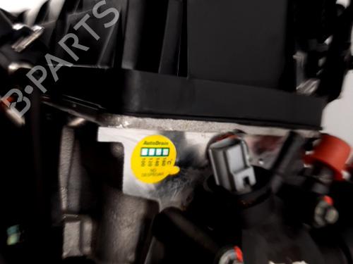 Engine FORD STREET KA (RL2) 1.6 | BP31035635M1 