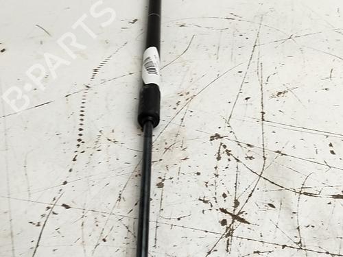 Tailgate lift support CUPRA BORN (K11) 77 e-boost | BP38420573C138 - Image 2