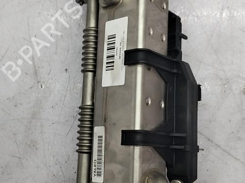 Used Egr Egr 36838319 36838319