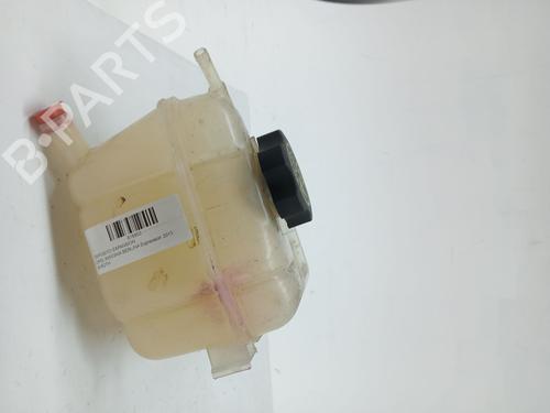 Expansion tank OPEL INSIGNIA A (G09) 1.6 CDTi (68) | BP23976554C120 