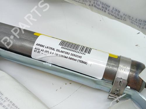 Elektronisk modul AUDI A3 (8P1) 2.0 TDI 16V | BP23350391M83