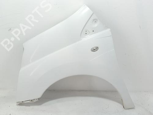 Left front fenders FIAT SCUDO Van (270_, 272_) 2.0 D Multijet | BP29420968C41 