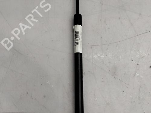 tailgate-lift-support-fiat-500e-332_-2020-36540101 main image
