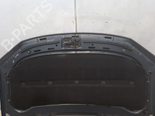 Hood VW TOURAN (1T1, 1T2) 2.0 TDI 16V | BP23370842C1