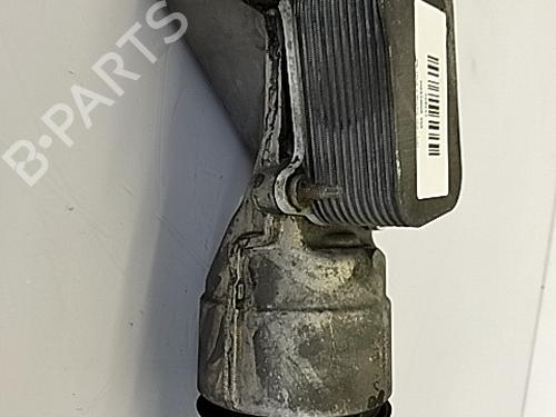 EGR-Ventil BMW 3 (E90) 320 d (163 hp) 29303167