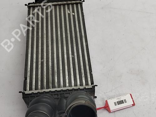 Intercooler Intercooler PEUGEOT 2008 II (UD_, US_, UY_, UJ_, UR_, UC_) 1.2 PureTech 130 (USHNS, URHNS) (130 hp) 36158099 36158099