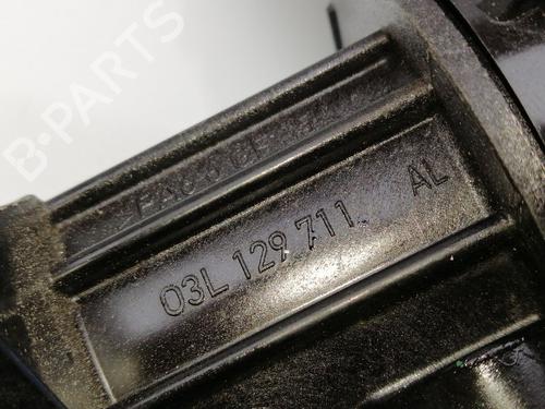 Used Intake manifold SEAT IBIZA IV (6J5, 6P1) 1.6 TDI (90 hp) 23420061