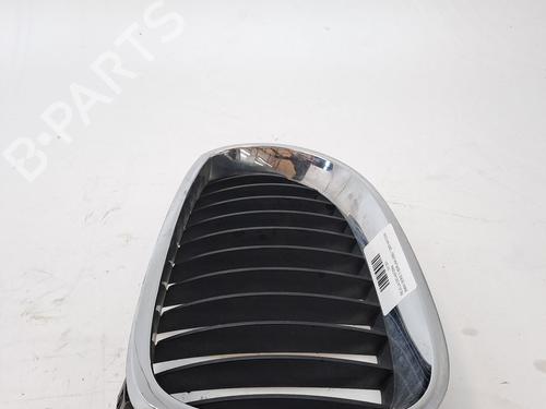 Grille BMW 5 (E60) 520 d | BP23370114C40 