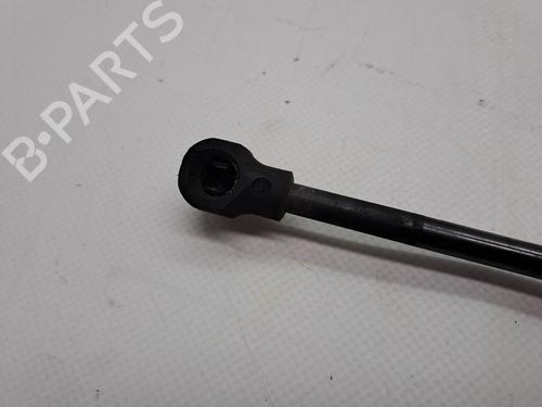 Hood lift support DACIA SANDERO II TCe 90 (B8M1, B8MA, B8AC) | BP23358349C139 