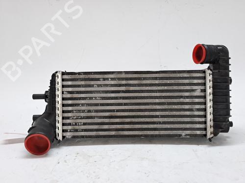 Used Intercooler FORD TRANSIT CONNECT V408 Box Body/MPV 1.6 TDCi (95 hp) 25998317