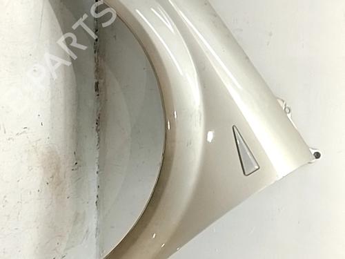 left-front-fenders-renault-scenic-ii-jm01_-2003-2004-2005-2006-2007-2008-2009-2010-36522864 main image