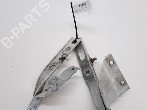 Used Hinge/Door check strap AUDI Q5 (8RB) 2.0 TDI quattro (170 hp) 25999700
