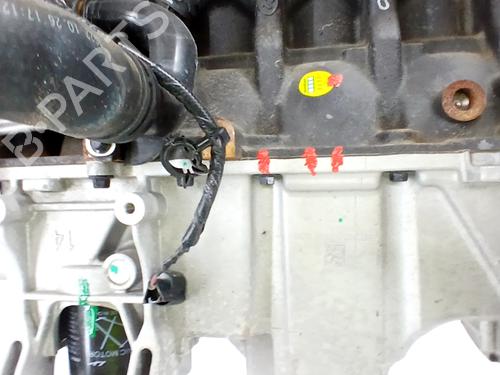 Engine MG MG ZS SUV (AZS1) 1.5 VTi | BP31916121M1 