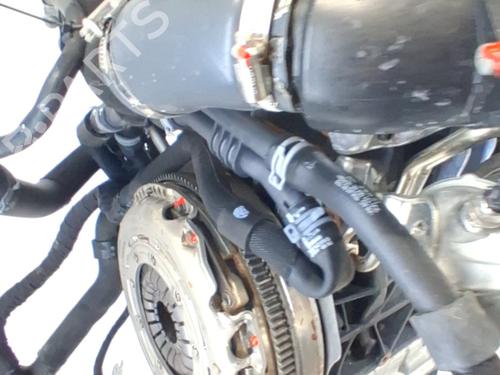 Engine VW GOLF VIII (CD1, DA1) 2.0 TDI | BP36036388M1 - Image 6