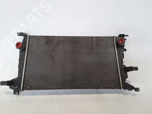 Used Water radiator RENAULT MEGANE II Saloon (LM0/1_) 1.5 dCi (LM0F, LM0T, LM2B) (82 hp) 24109151
