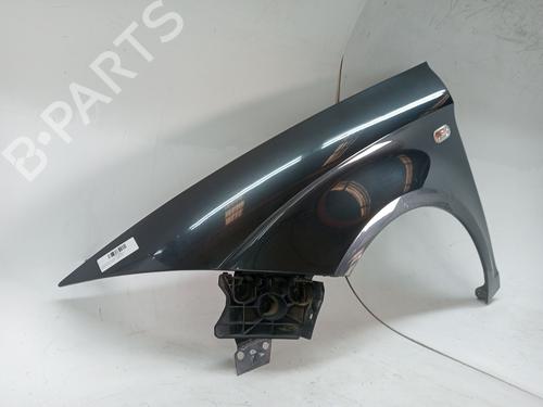 Left front fenders SEAT ALTEA (5P1) 1.9 TDI | BP23977096C41 