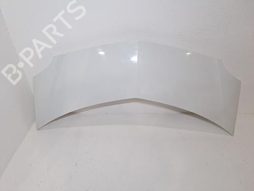 Panser RENAULT MODUS / GRAND MODUS (F/JP0_) 1.2 (JP0C, JP0K, FP0C, FP0K, FP0P, JP0P, JP0T) (75 hp) 23379740