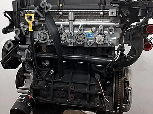 Engine KIA RIO II (JB) 1.4 16V | BP29557125M1 