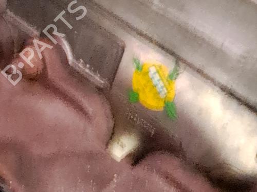 Engine VW TIGUAN (5N_) 2.0 TDI 4motion | BP30925863M1