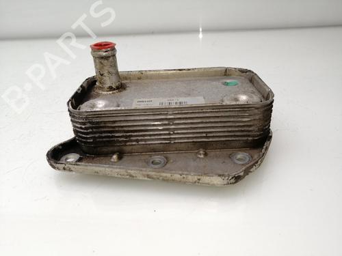 Oil radiator MERCEDES-BENZ VITO Van (W638) 112 CDI 2.2 (638.094) | BP25346929M33 