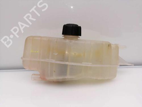 Expansion tank RENAULT CLIO III (BR0/1, CR0/1) 1.5 dCi | BP23404578C120 