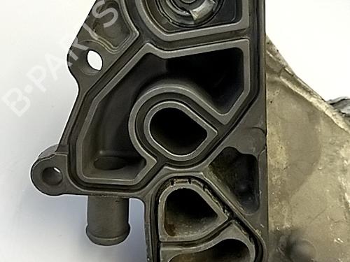 Egr BMW 3 (E90) 320 d | BP29303167M69 