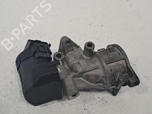 Egr FORD KUGA I 2.0 TDCi | BP25834126M69