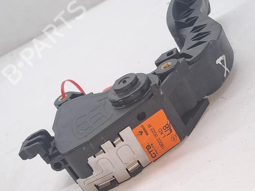Pedal RENAULT MEGANE III Hatchback (BZ0/1_, B3_) 1.5 dCi (BZ09, BZ0D, BZ1W, BZ29, BZ14) | BP27461941I4 