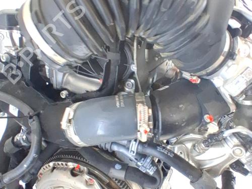 Engine VW GOLF VIII (CD1, DA1) 2.0 TDI | BP36036388M1 - Image 5