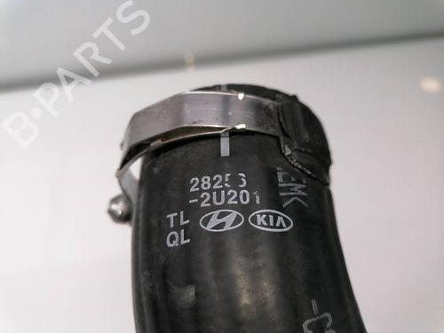 Pipe KIA SPORTAGE IV (QL, QLE) 1.7 CRDi | BP23386102M125 
