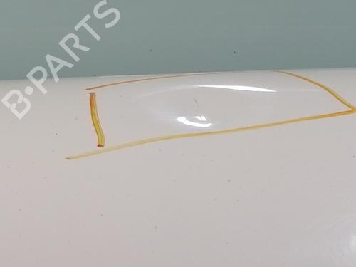 Left rear door FORD TOURNEO CONNECT 1.8 TDCi /TDDi /DI | BP23936713C4 