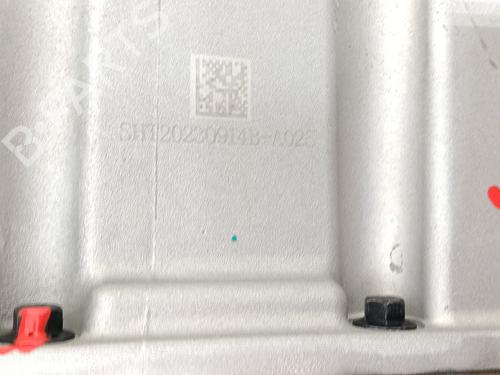 Engine MG MG ZS SUV (AZS1) 1.5 VTi | BP28956979M1