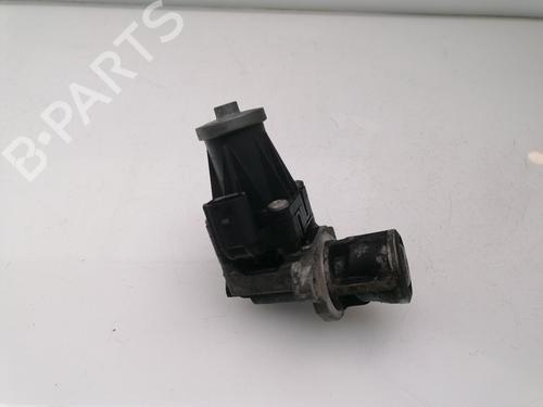 Egr FIAT PUNTO EVO (199_) 1.3 D Multijet (199AXC1A, 199BXC1A, 199AXT1A, 199BXT1A) | BP25761826M69