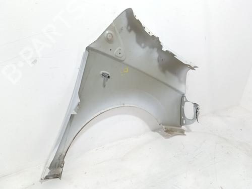Left front fenders FIAT SCUDO Van (270_, 272_) 2.0 D Multijet | BP29420968C41 